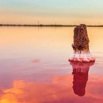 星空体育棋牌截图