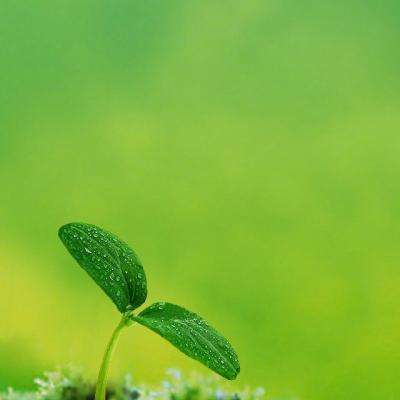 亚新综合平台·官方网站