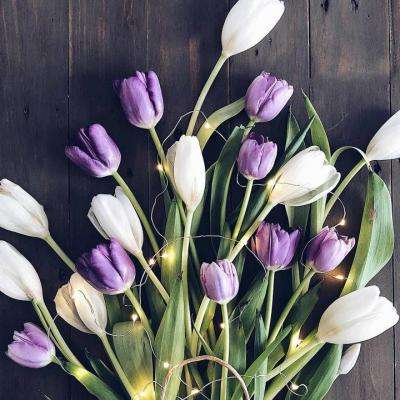 196体育(官方)APP下载安装