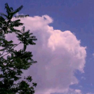 一分钟pk10赛车App截图